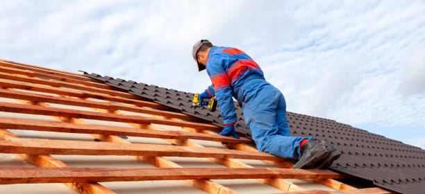 Best Commercial Roofing Services  in Spring Valley, MN